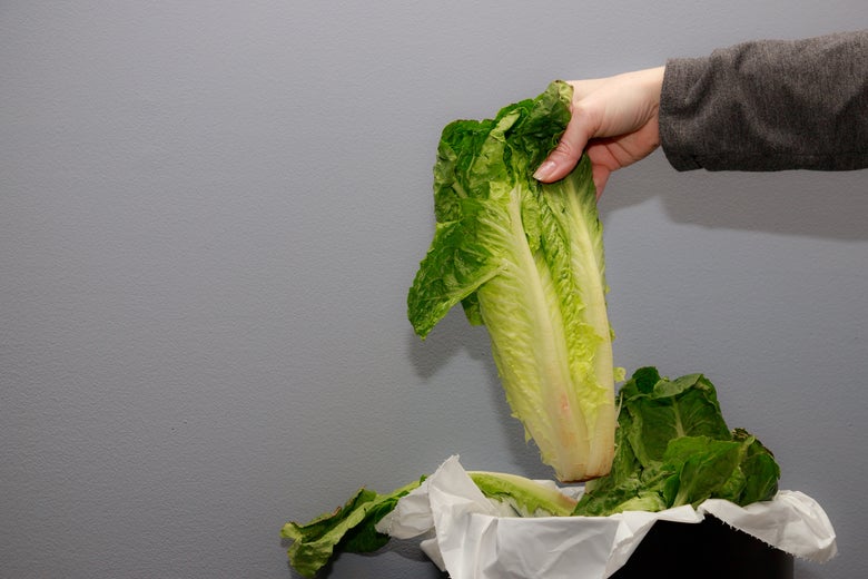 A hand throwing romaine lettuce into the trash.